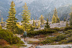 Hiking out from Boulder Creek Lakes