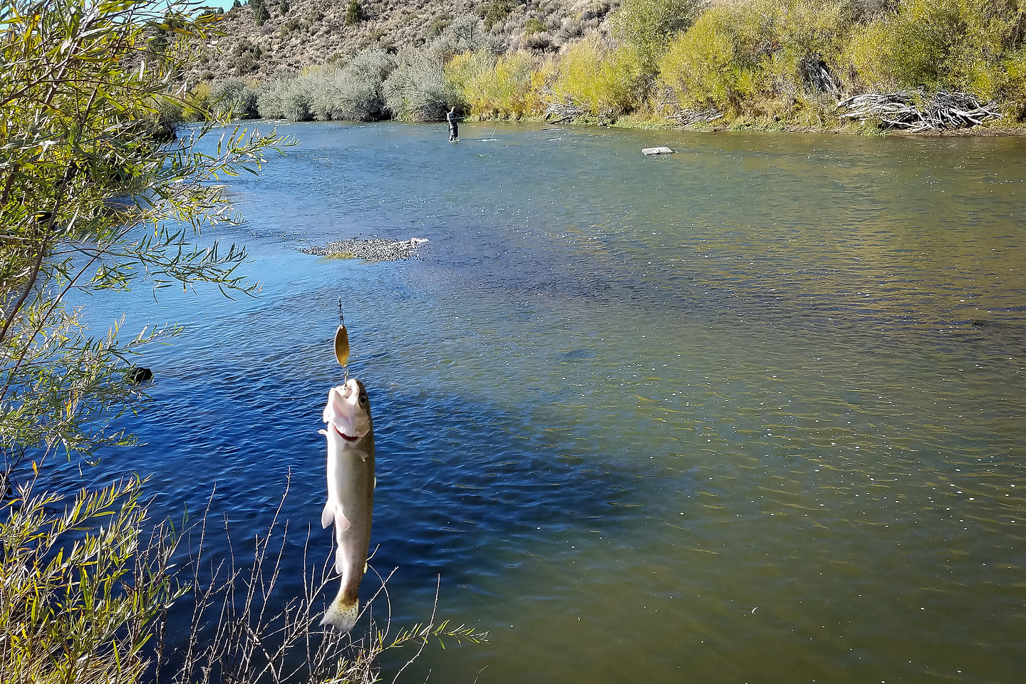 East Walker River East Walker River