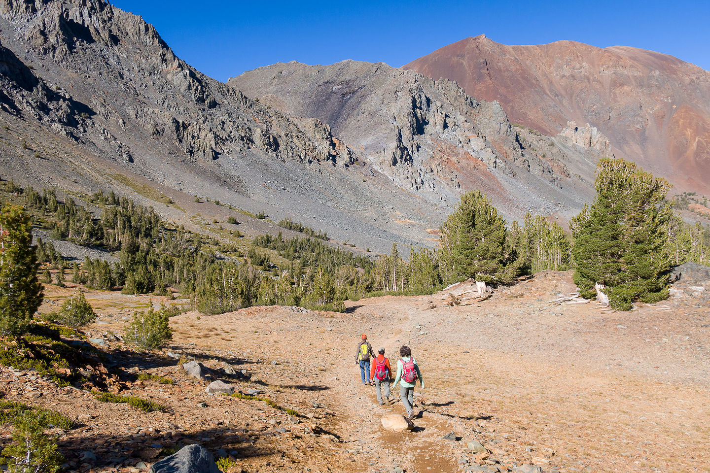 Virginia Lakes Trail Virginia Lakes Trail