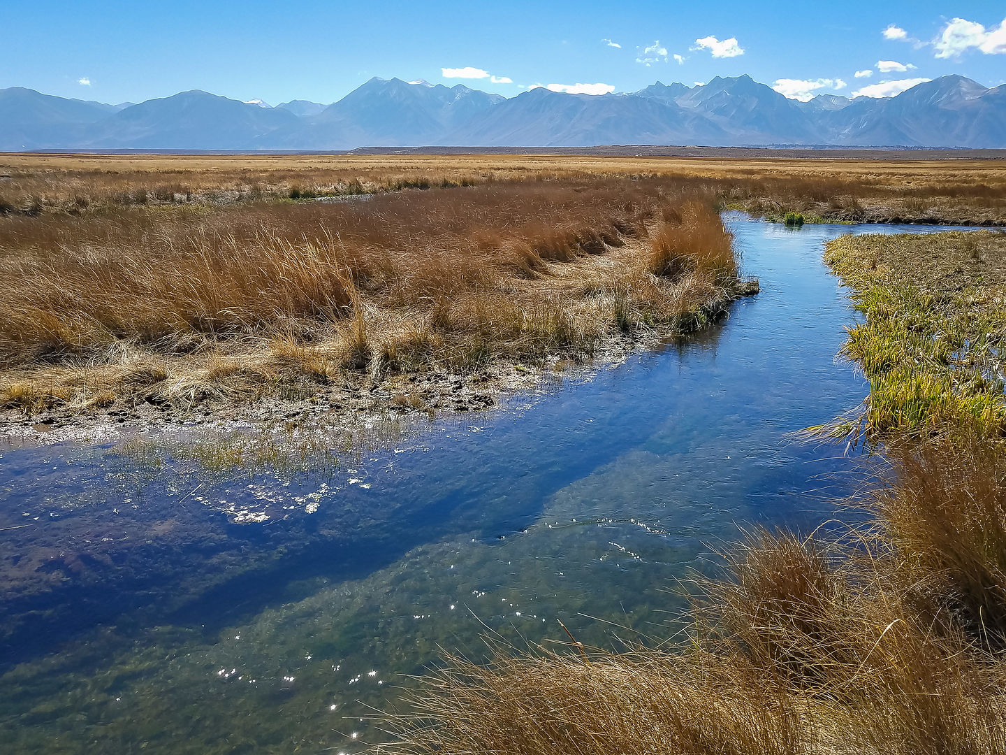 Upper Owens River