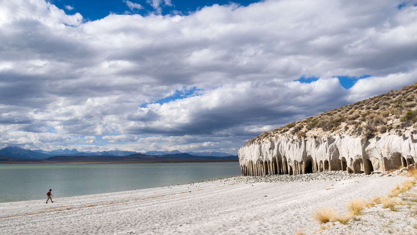 Lolo approaches Crowley Lake Columns