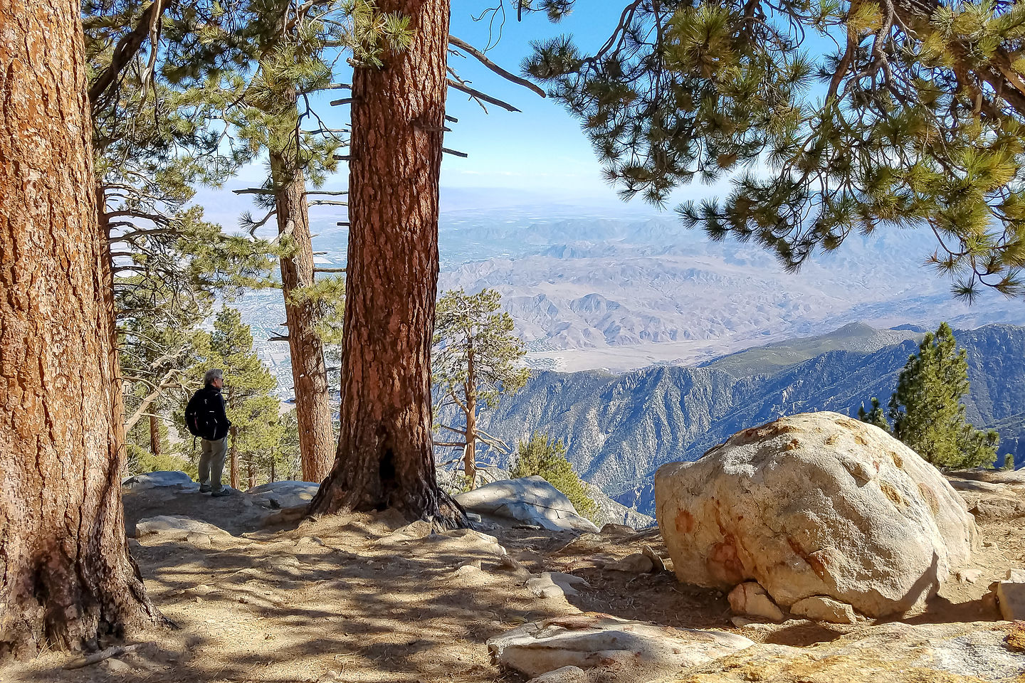 View from Desert View Trail View from Desert View Trail
