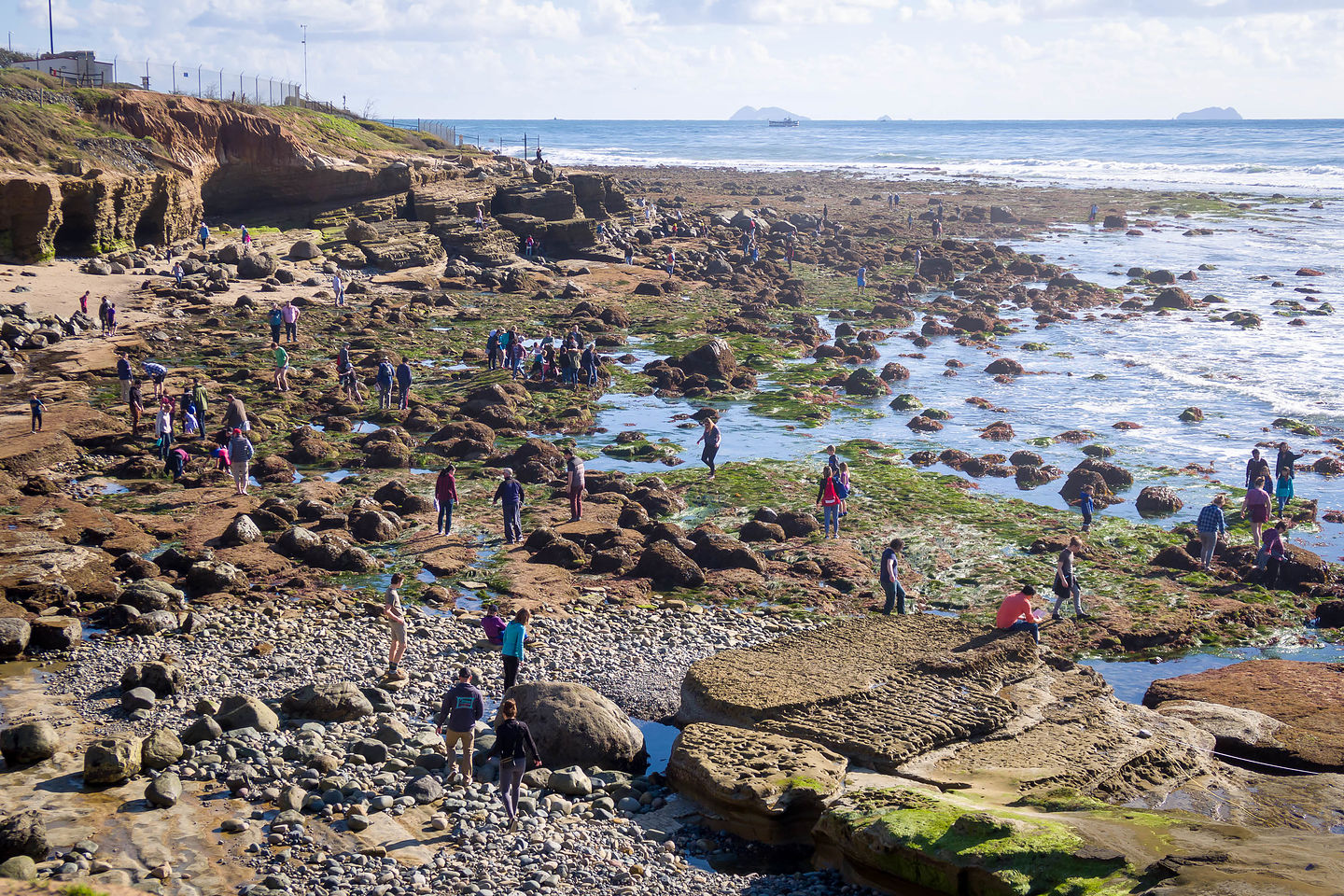Point Loma tide pools Point Loma tide pools