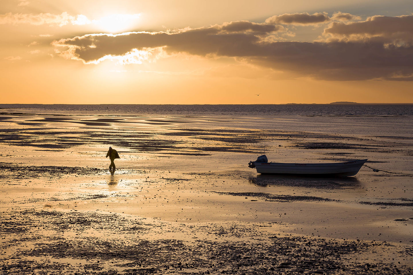 Low tide in Laguna San Ignacio