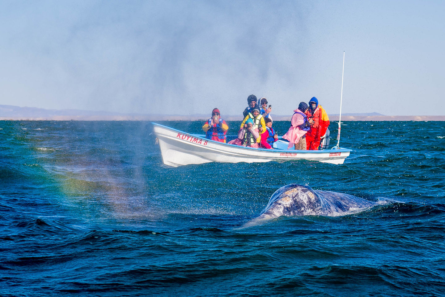 Rainbow whale spout Rainbow whale spout
