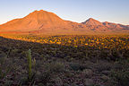 Morning light on Las Tres Virgenes