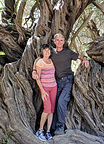 315-year-old olive tree (plus us)
