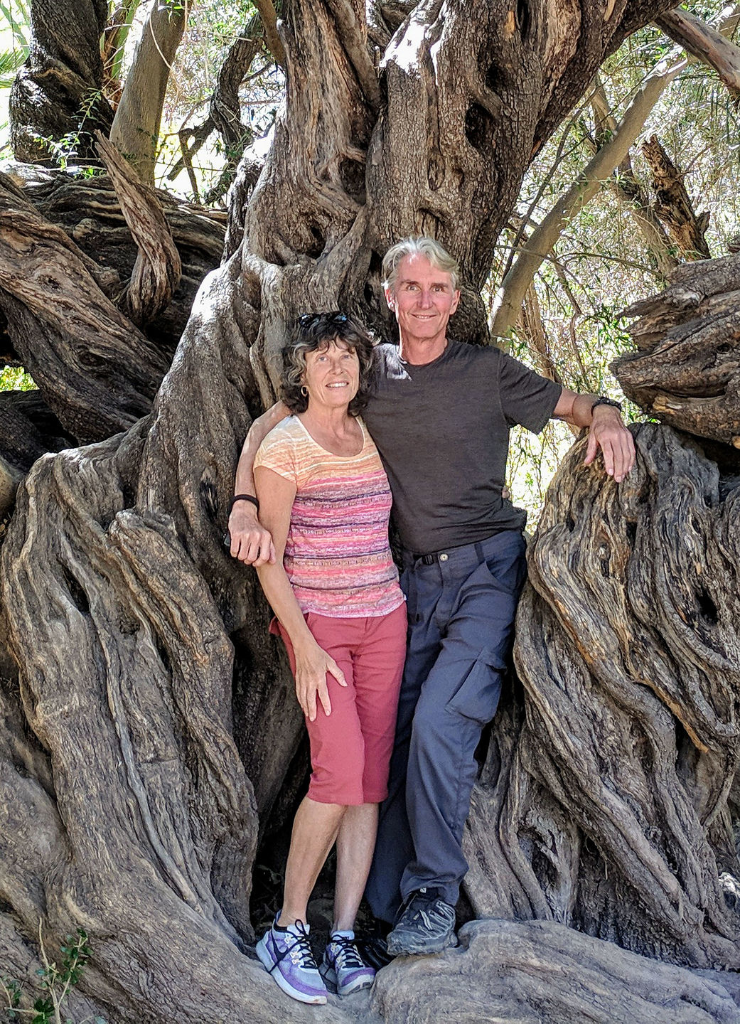 315-year-old olive tree (plus us) 315-year-old olive tree (plus us)