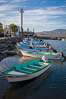 Marina along the Loreto Malecon