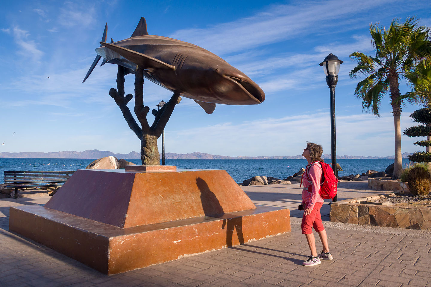 Lolo staring down a Whale Shark statue Lolo staring down a Whale Shark statue