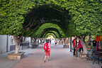 Lolo meandering along the Paseo Salvatierra