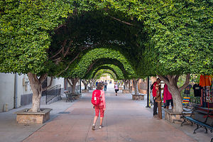 Lolo meandering along the Paseo Salvatierra