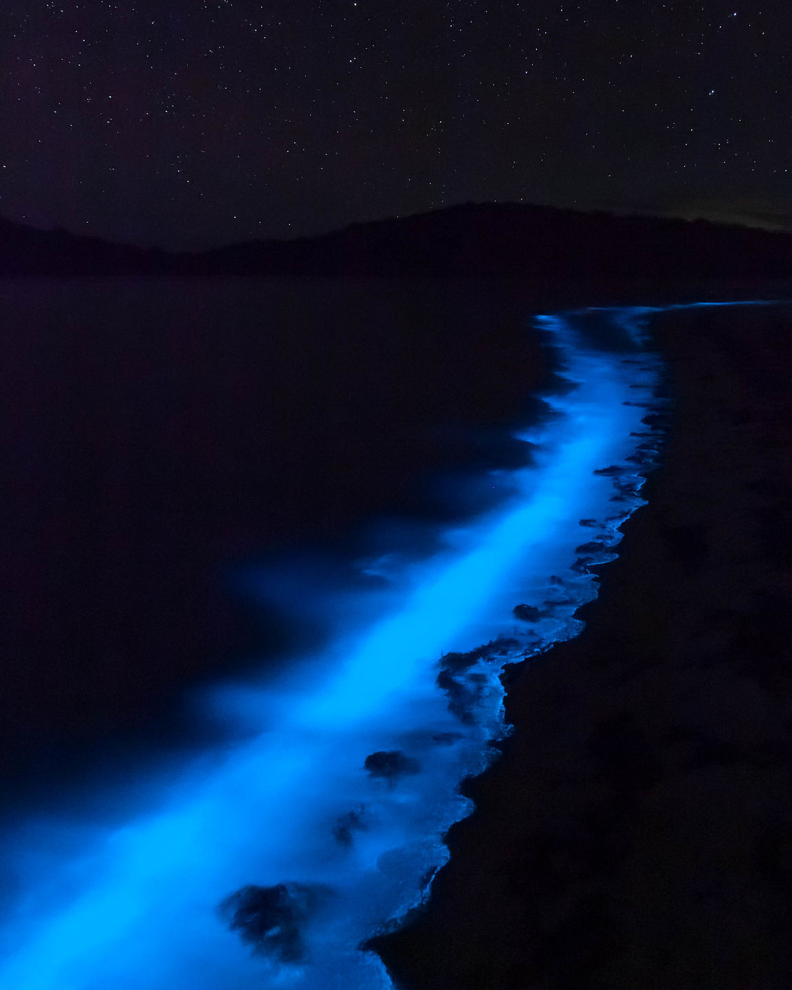 Bioluminescent plankton along El Playa Requeson Bioluminescent plankton along El Playa Requeson