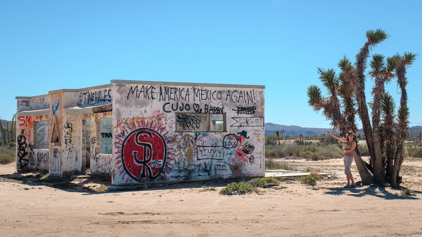 My favorite roadside graffiti My favorite roadside graffiti