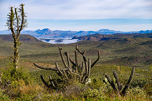 Along the road north on Mexico 1