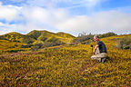 Stopping to photograph a wildflower bloom