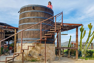 Lolo enjoying the view from atop a wine barrel at Finca Altozano in the Valle de Guadalupe