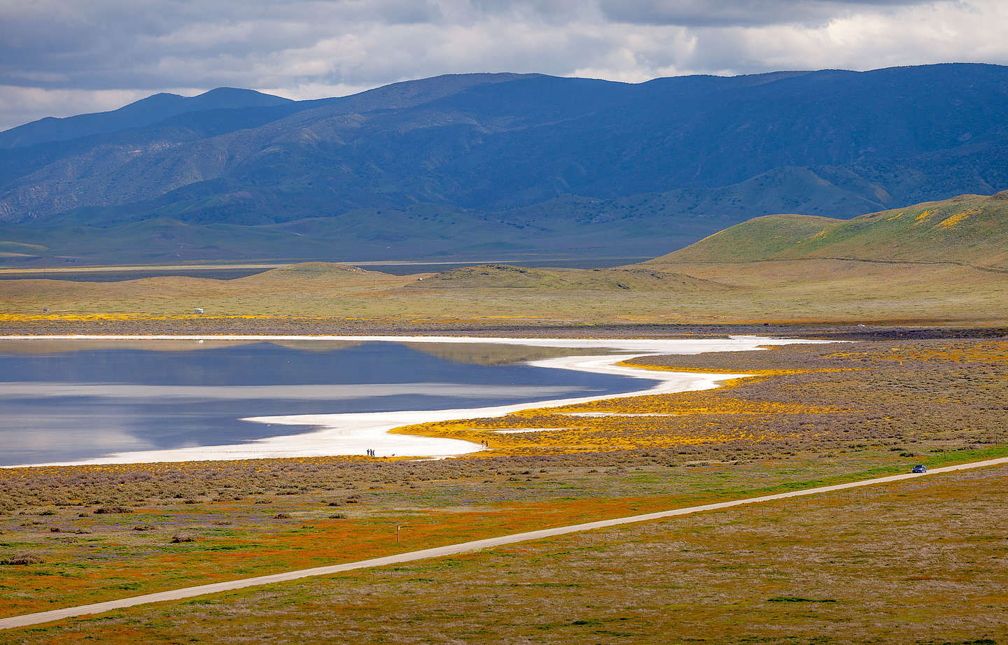 Carrizo Plains - Soda Lake salt flats