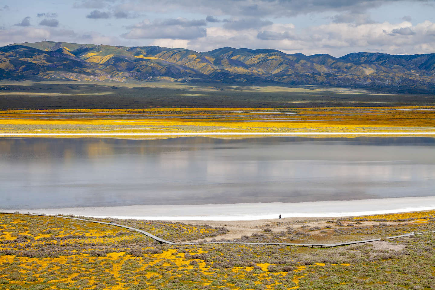 Carrizo Plains - Soda Lake salt flats Carrizo Plains - Soda Lake salt flats