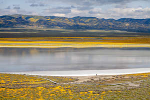 Carrizo Plains - Soda Lake salt flats