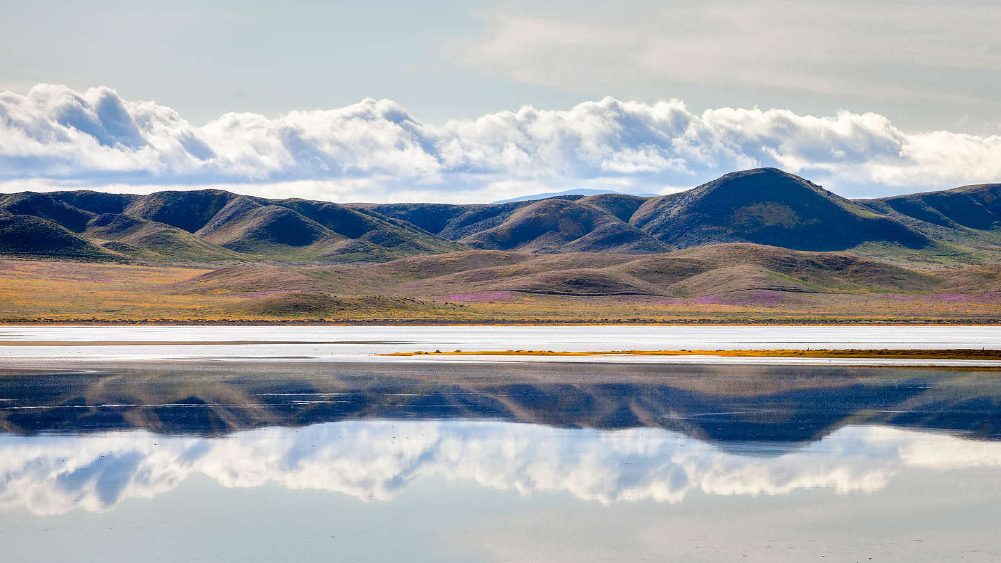 Carrizo Plains - Soda Lake salt flats