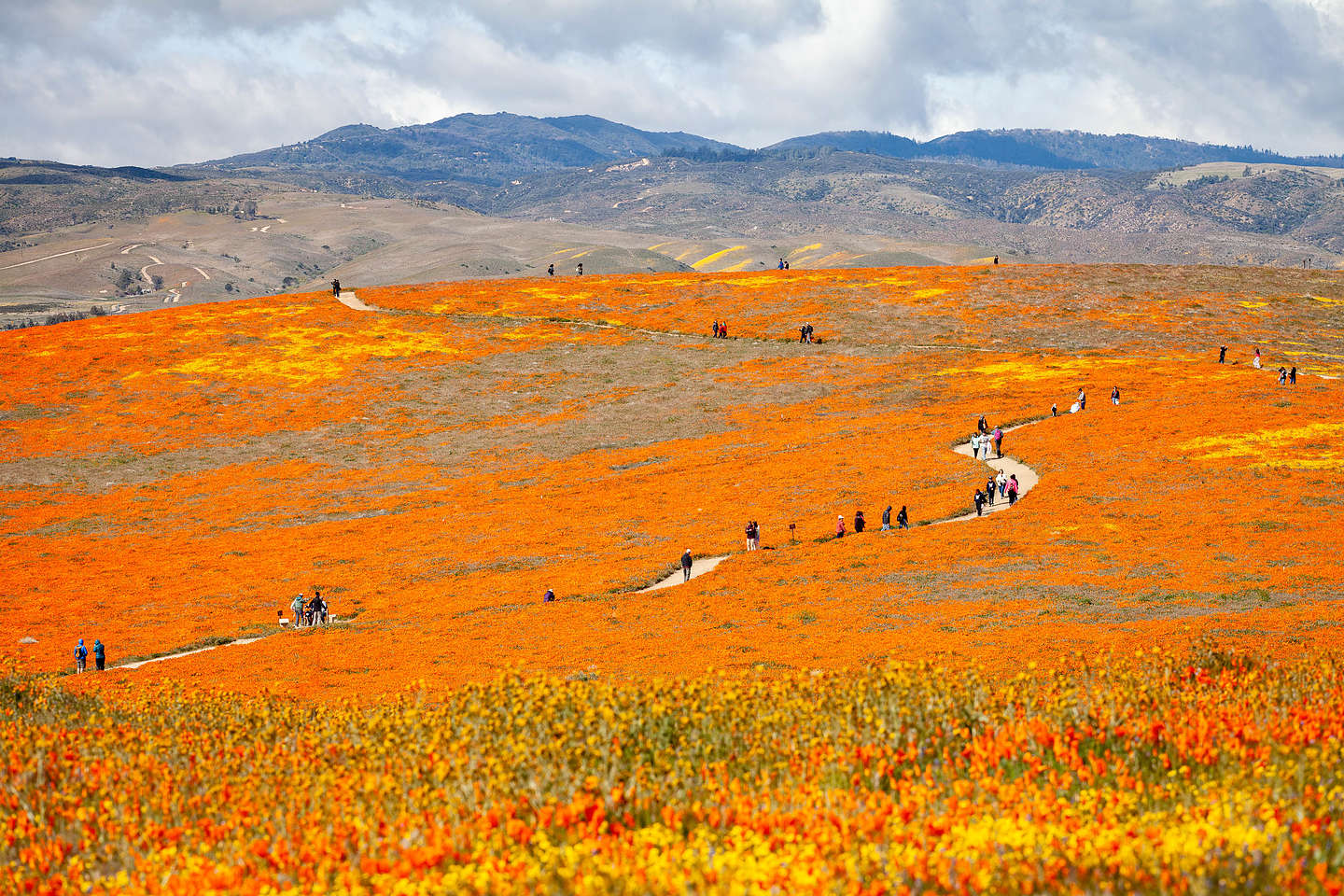 Antelope Valley Poppy Reserve Antelope Valley Poppy Reserve