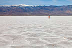 Salt hexagons of Badwater Basin