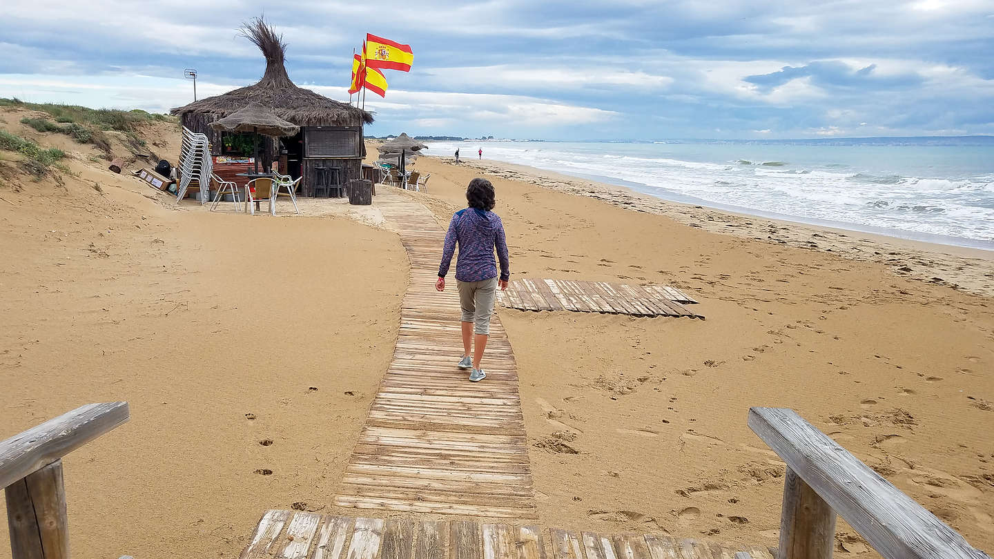 Beach by La Marina Beach by La Marina