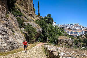 Herb wandering through Ronda's Old Town