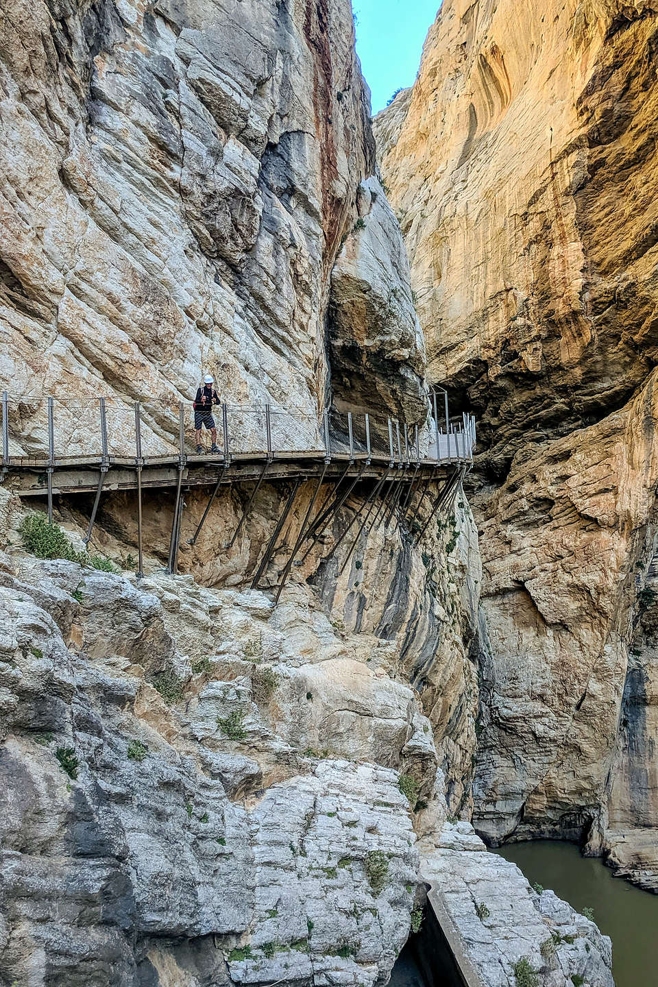 Herb on the Caminito del Rey Herb on the Caminito del Rey