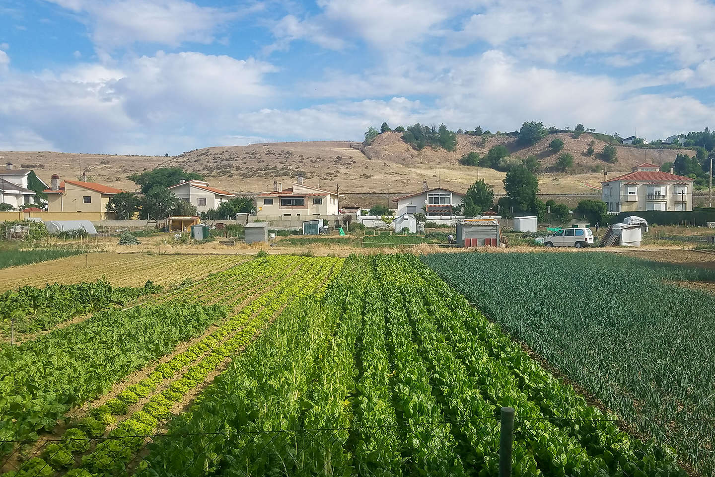 Walk through farm fields along the river path to Salamanca Walk through farm fields along the river path to Salamanca