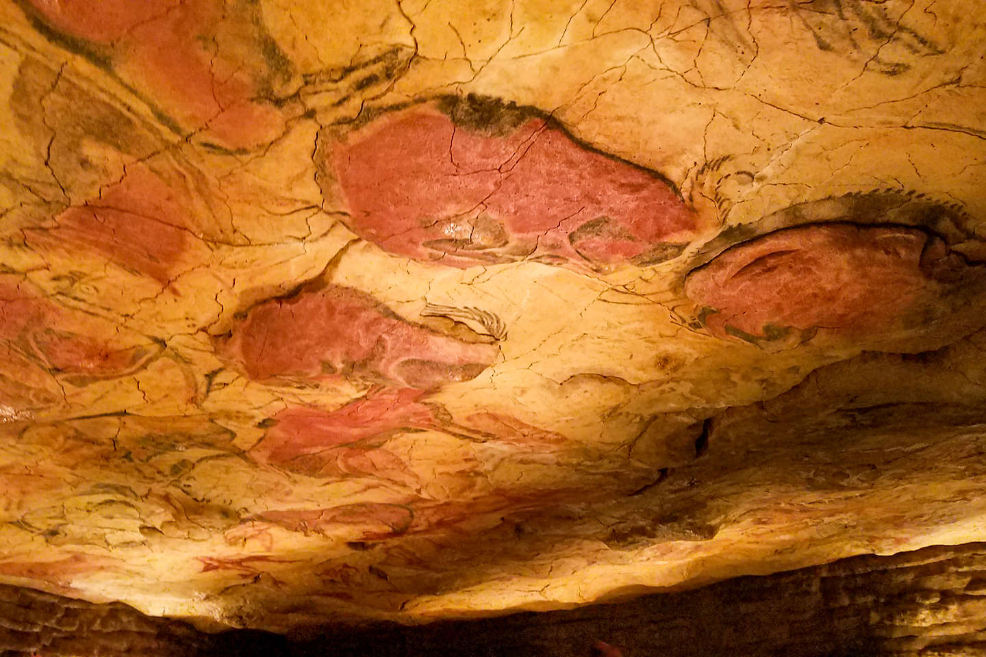 Altamira Museum and Cave Altamira Museum and Cave