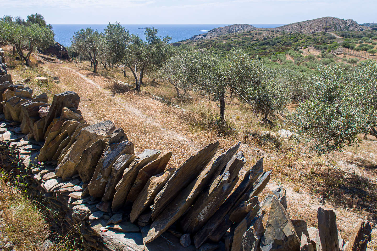 Heading off through olive groves along the Cap de Creus trail Heading off through olive groves along the Cap de Creus trail