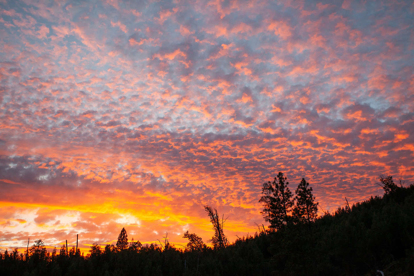 Sunset from our campsite on the Pit Arm