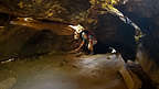 Crawling through the trunk of a dead Sequoia