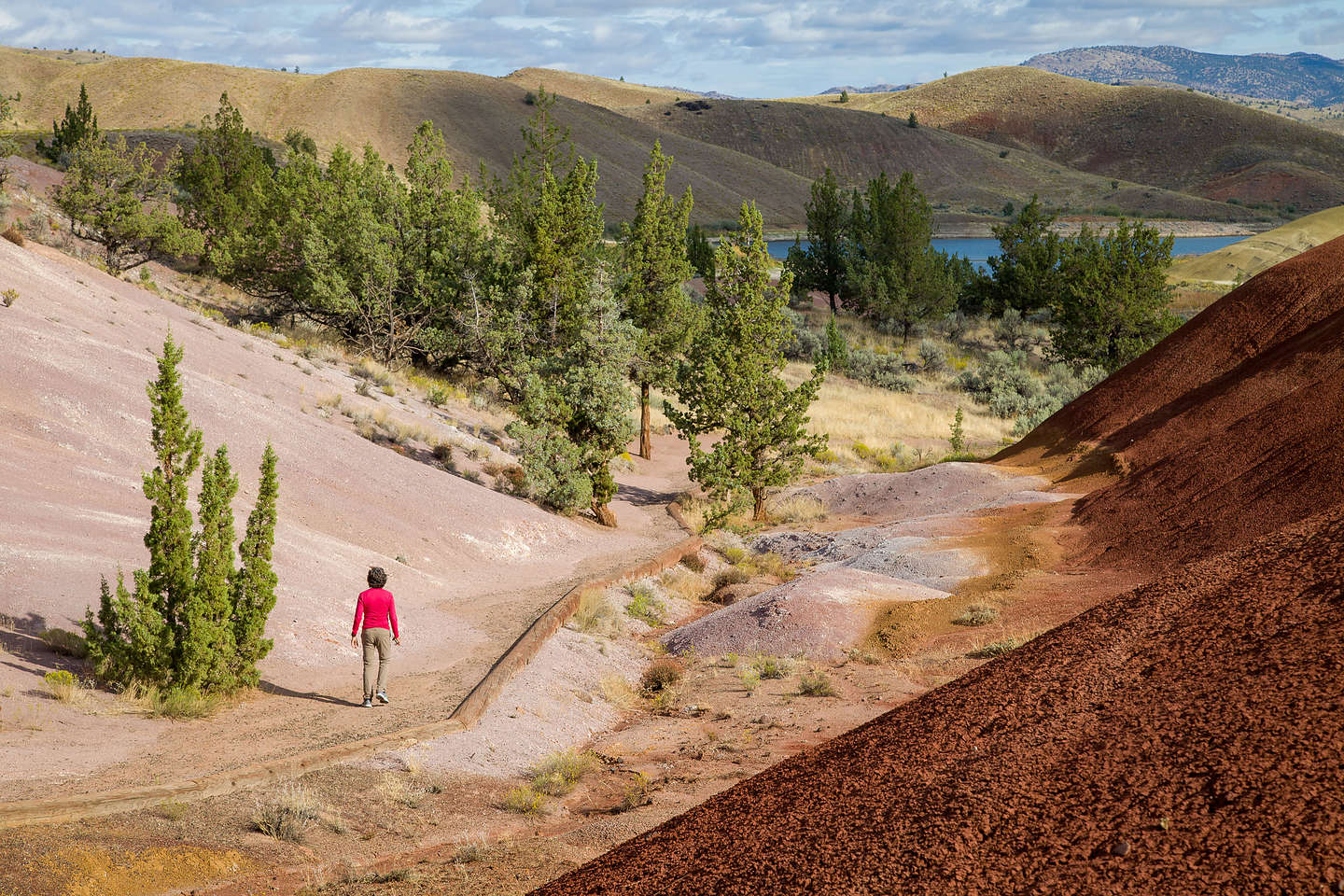 Along the Painted Cove Trail