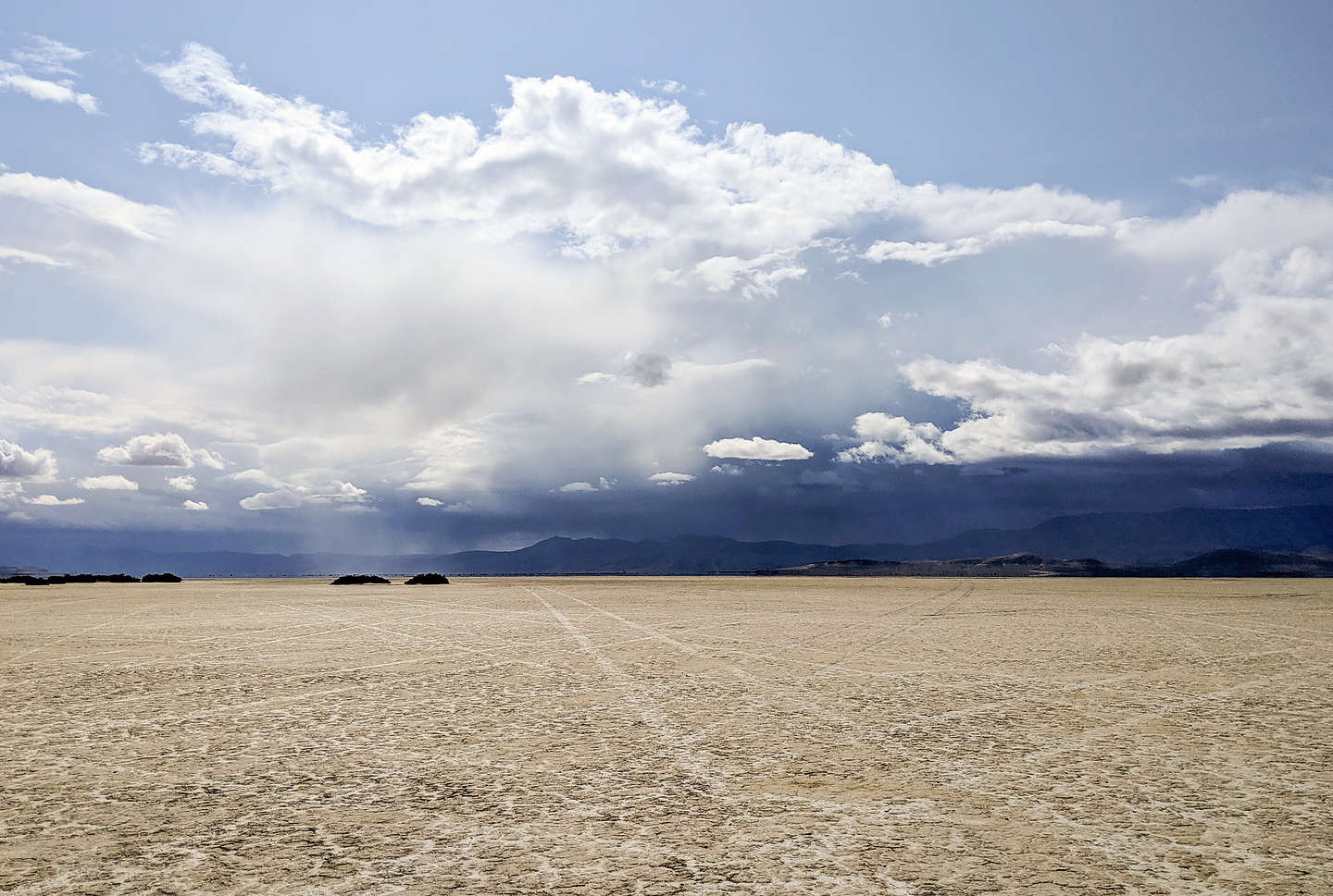 Storm's a brewing on the playa Storm's a brewing on the playa