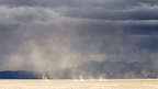 Dust devils forming on the playa