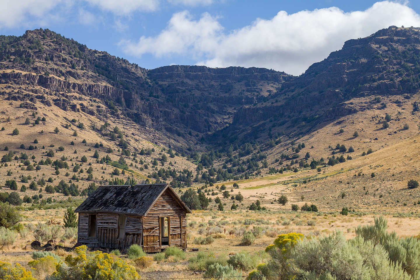 Along the Steens Mountain Scenic Byway