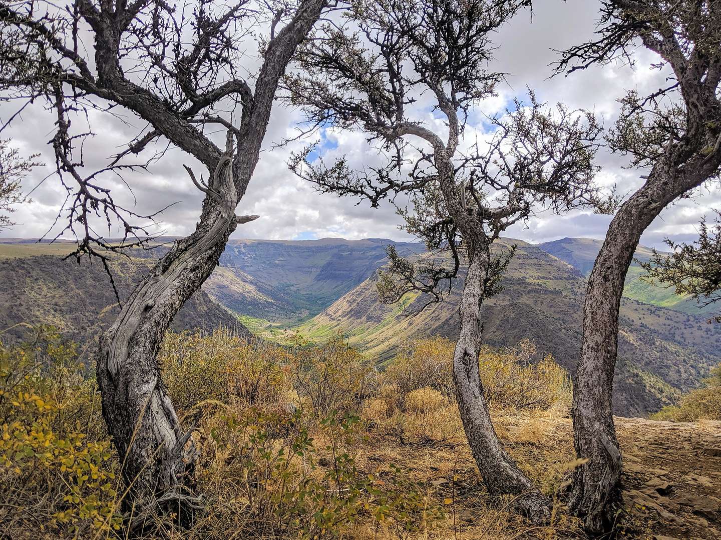 Indian Gorge Lookout along the Steens Mountain Scenic Byway Indian Gorge Lookout along the Steens Mountain Scenic Byway