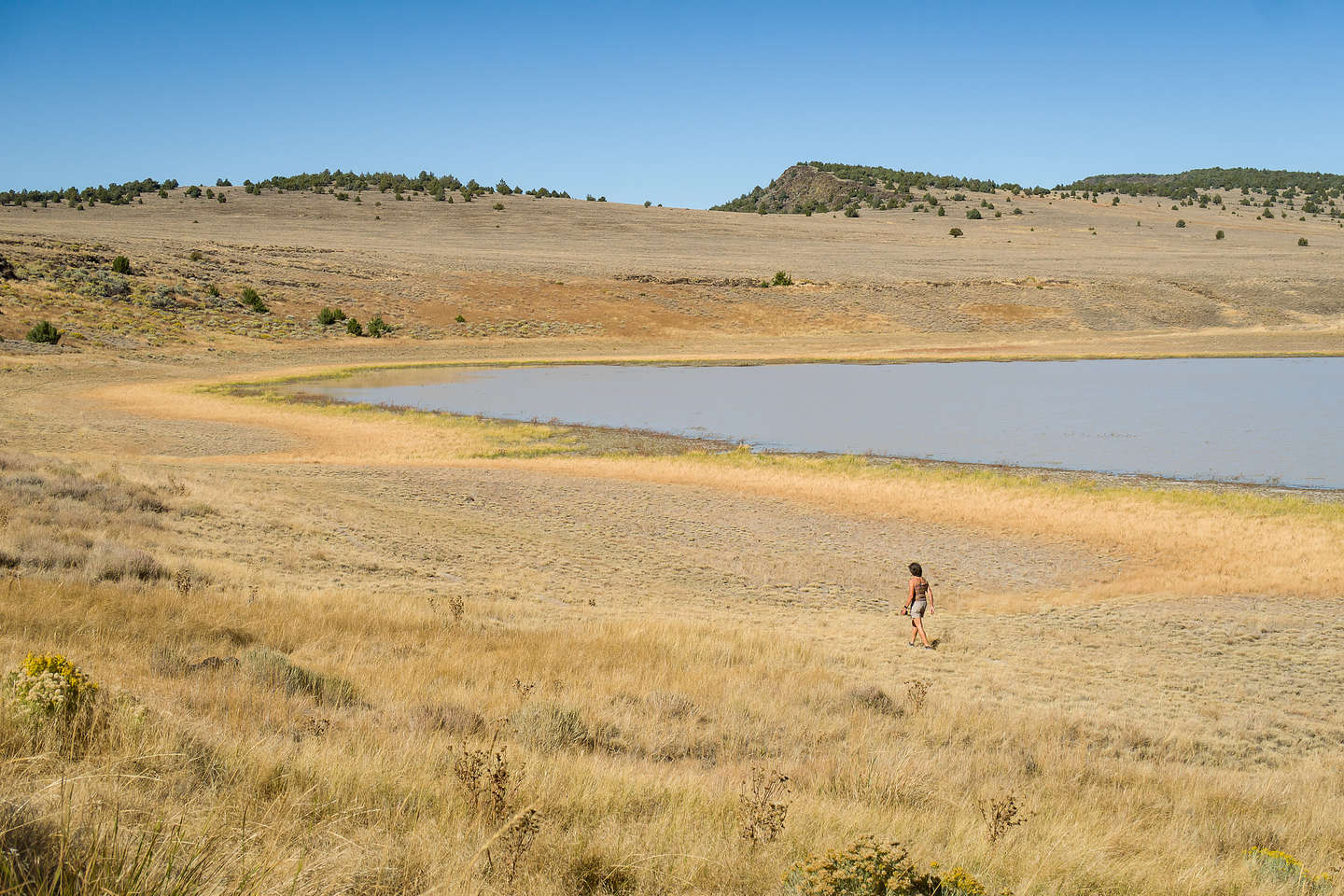 Lolo strolling along Petroglyph Lake