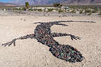 Saline Valley rock art