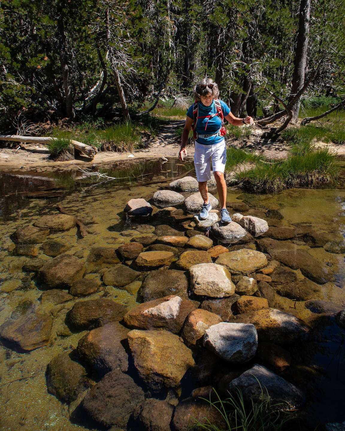 Lolo navigating the Lake Tenaya outlet Lolo navigating the Lake Tenaya outlet