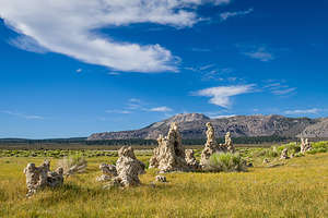 Land tufas wondering where the lake went