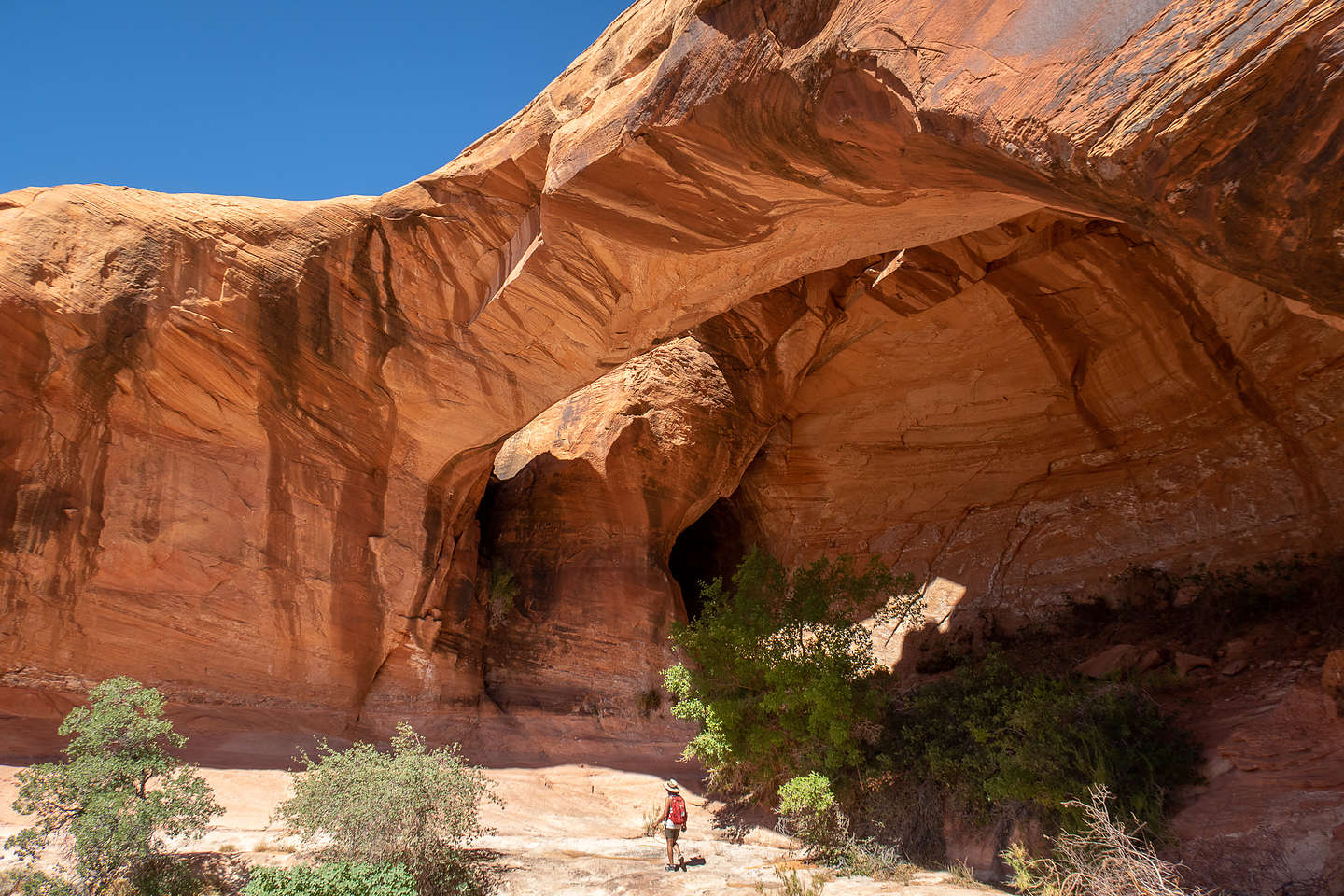 Lolo approaching Jack's Arch