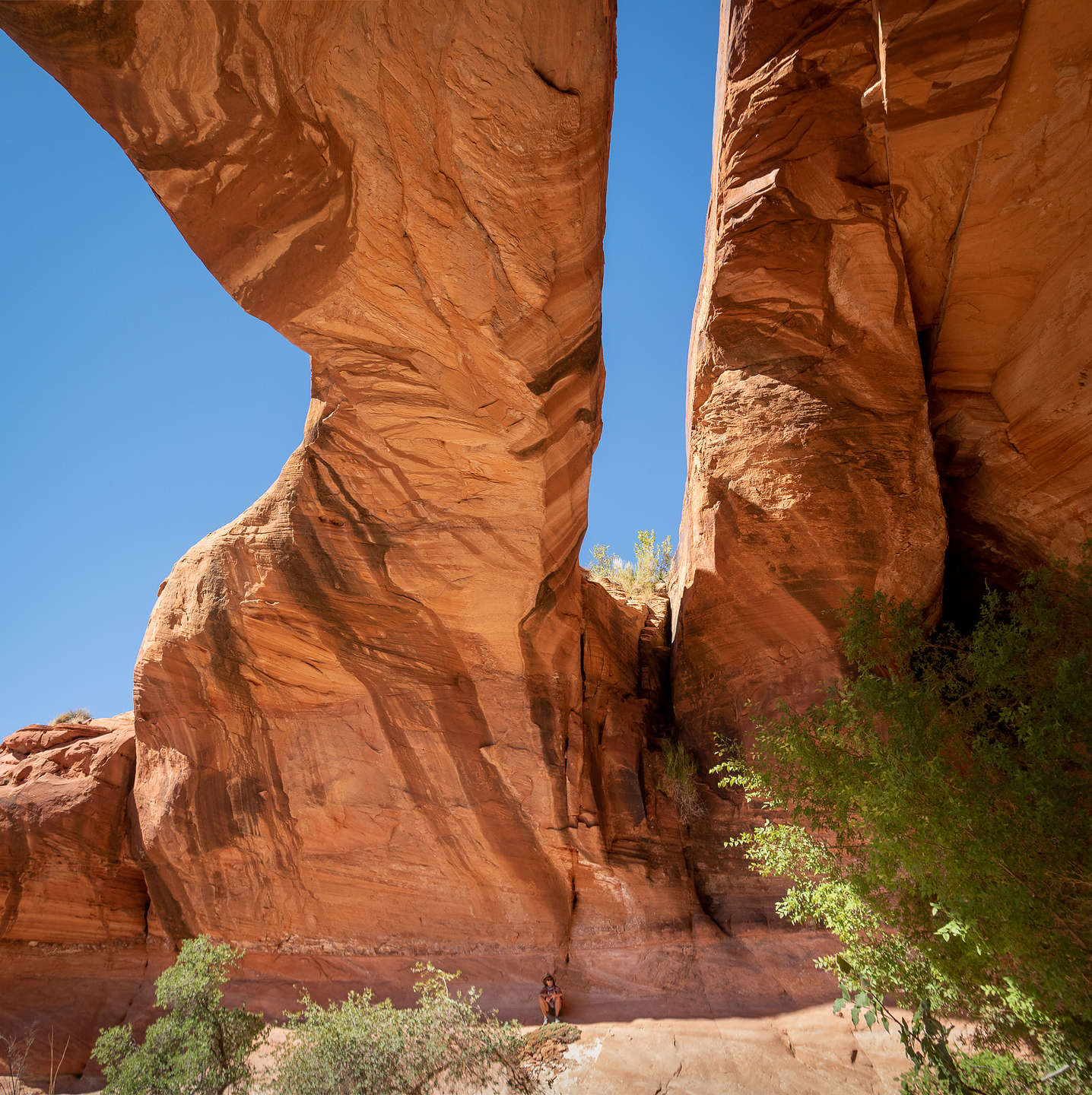 Tiny Lolo under Jack's Arch Tiny Lolo under Jack's Arch