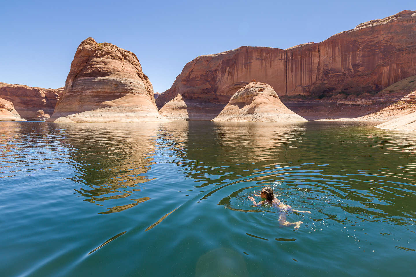 Lolo swimming amongst the reflections Lolo swimming amongst the reflections
