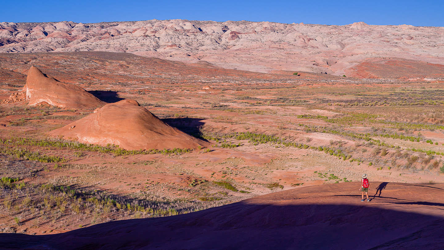 Gazing out at the Waterpocket Fold from the ridge above our campsite