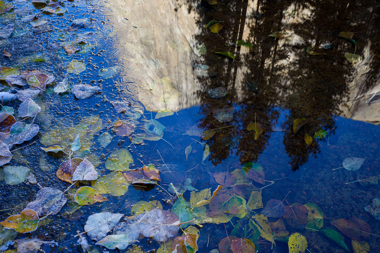 El Cap reflections