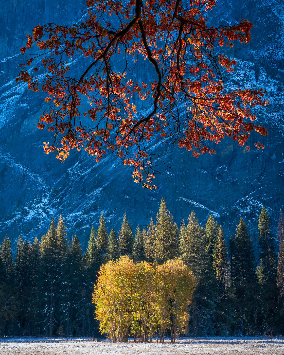 Ahwahnee Meadow